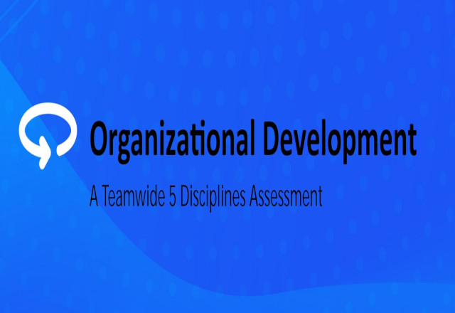 Organizational Development Report